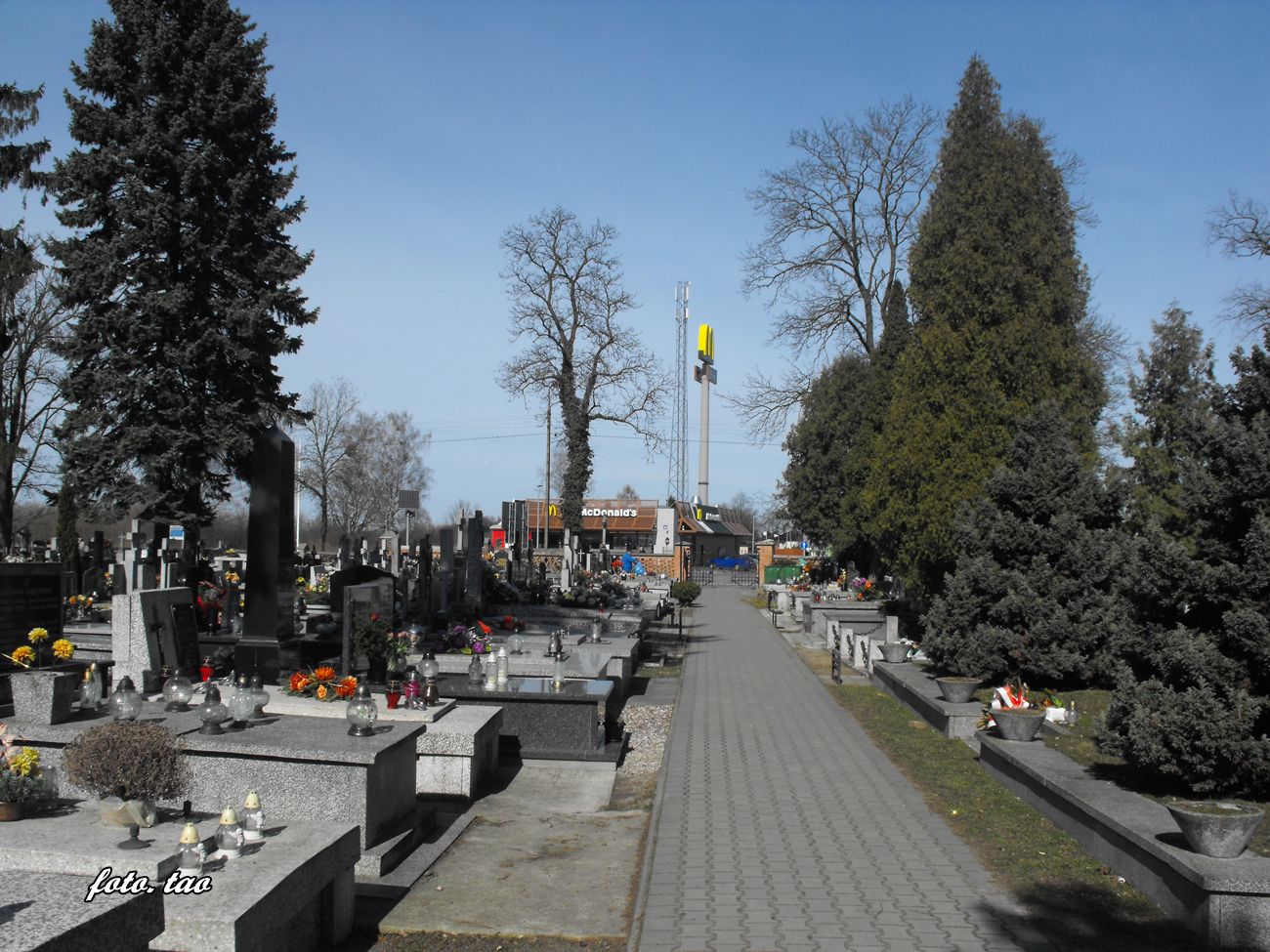 Jedna z gwnych alei na sierpeckim cmentarzu. Dla wikszoci jest to 