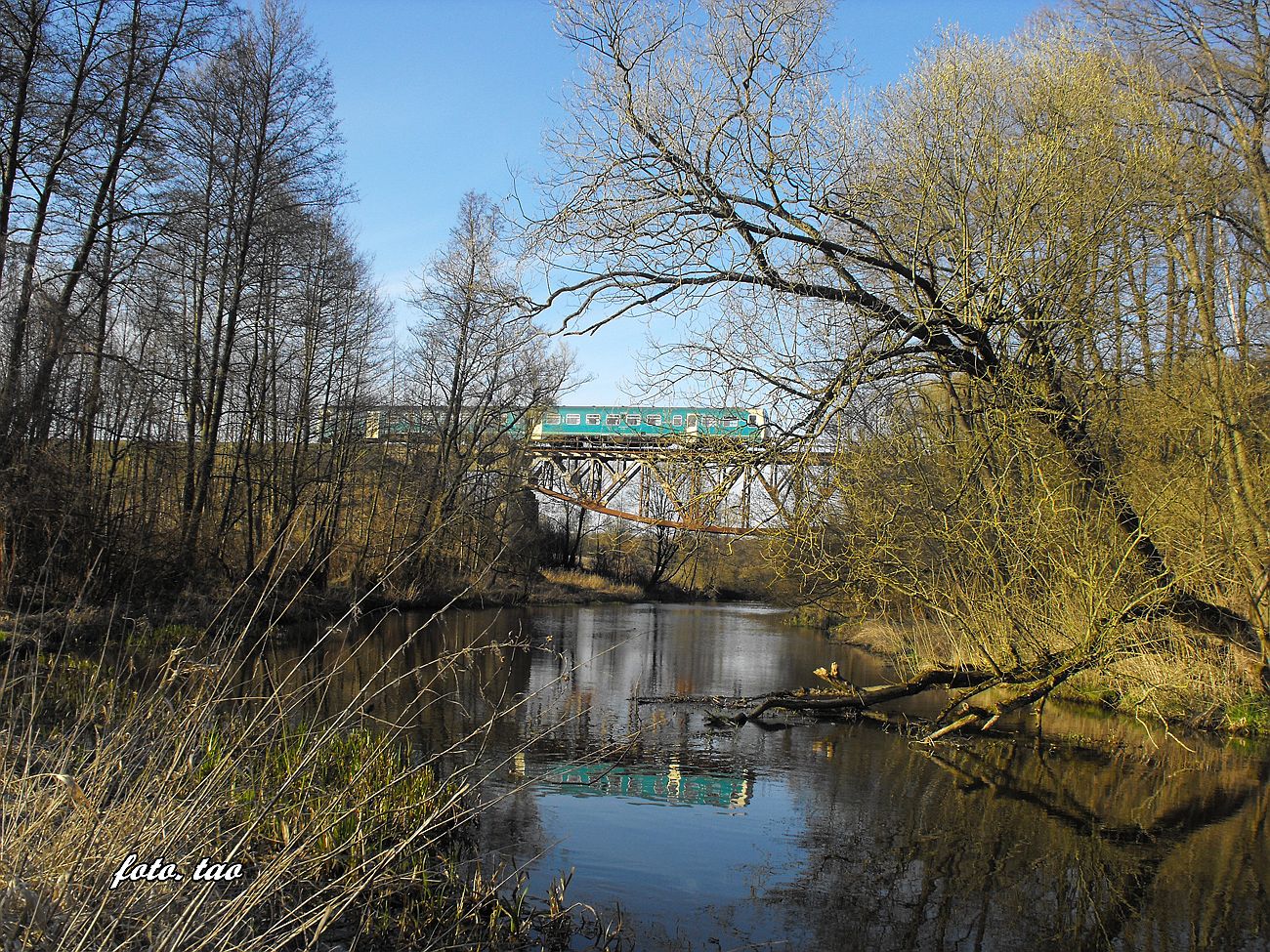 Rzeka Skrwa w Mieszczku. W oddali most kolejowy i przejedajcy pocig z Torunia do Sierpca, 9.04.2015 r.