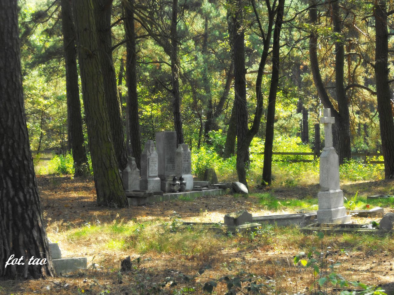 Fragment cmentarza ewangelickiego w Biaasach, wrzesie 2014 r.