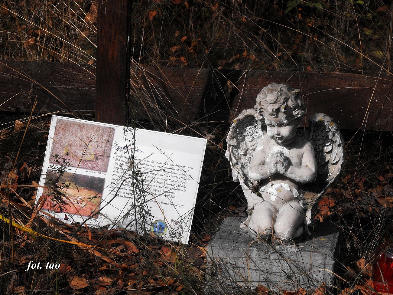 Figurka anioa na jednej z mogi cmentarza ewangelickiego w Oswce, 1.10.2016 r.