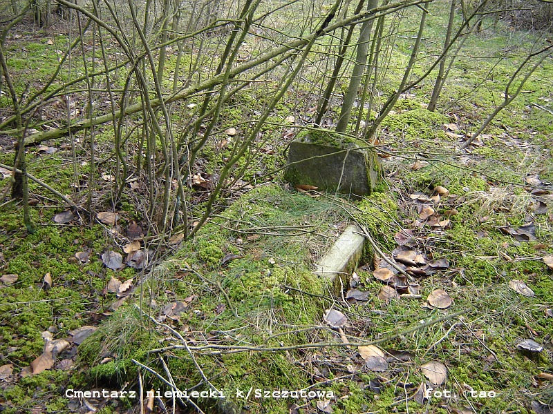 Cmentarz niemiecki w Biaasach k/Szczutowa - 21.01.2007 r.