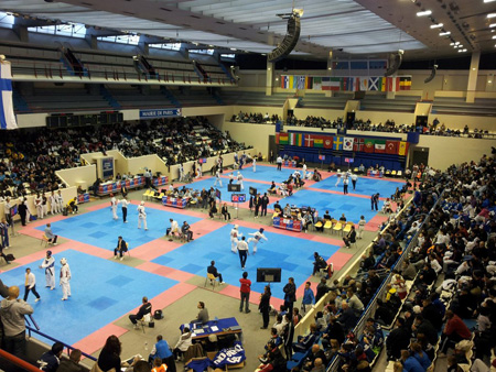 Turniej taekwondo w Paryu, 30.11.-2.12.2012  r.
