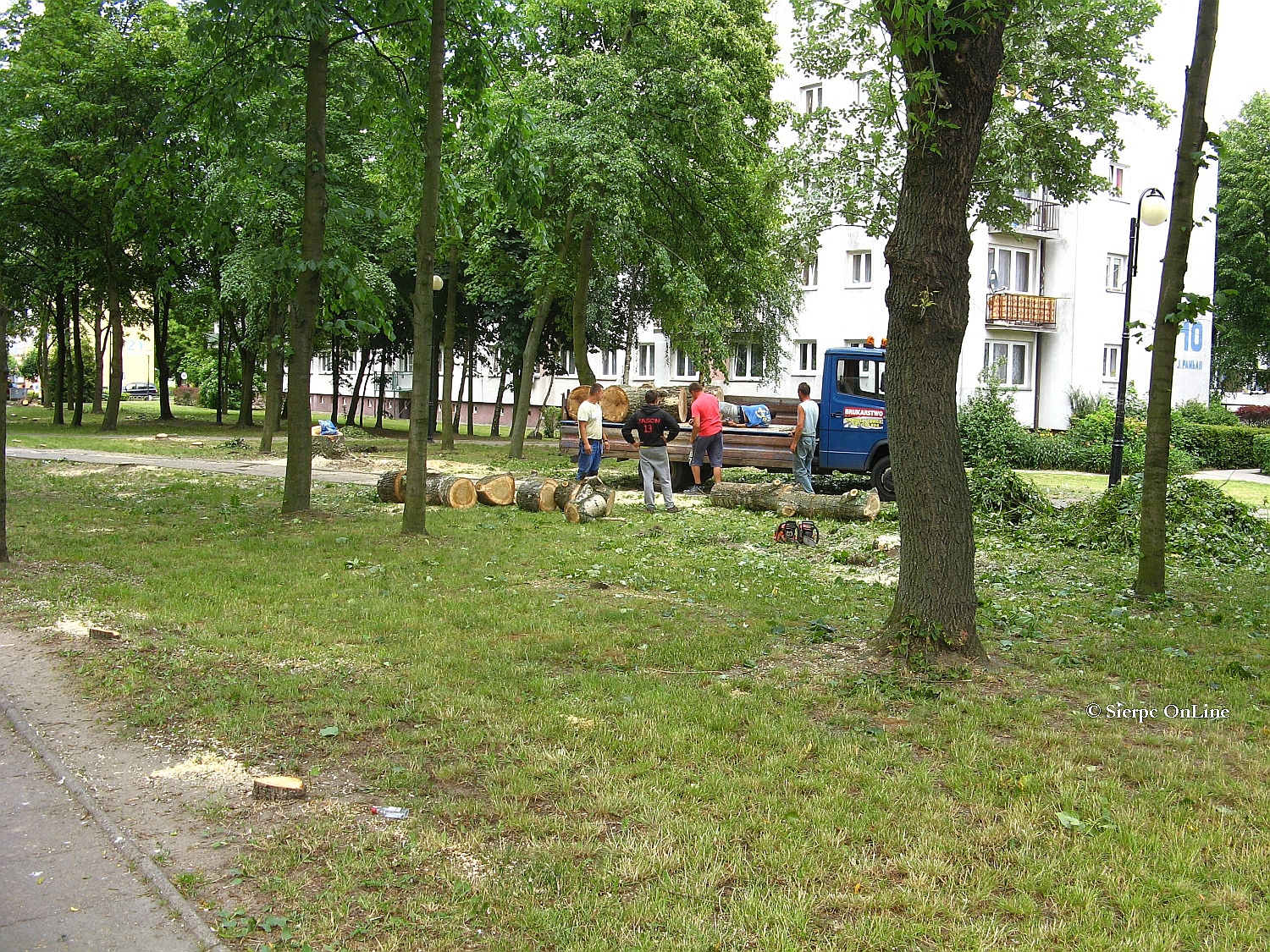 Wycinka drzew w maym parku pomidzy dworcem PKS a blokiem przy ulicy Jana Pawa II 10, 25.06.2015 r.