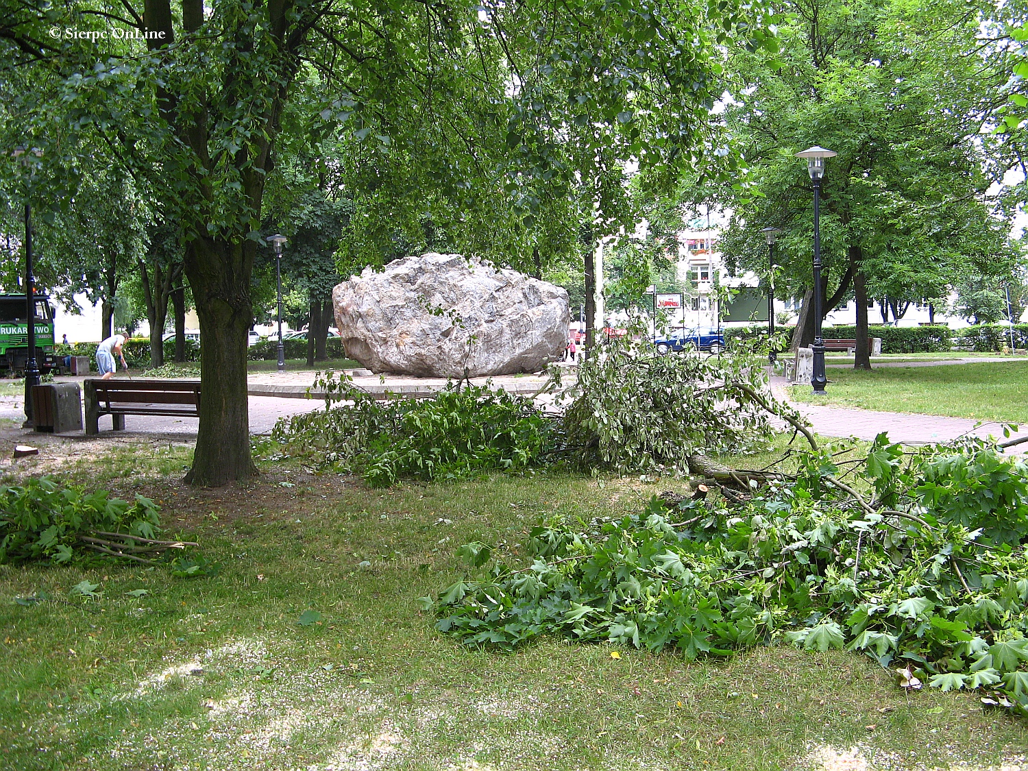 Wycinka drzew przed wielk modernizacj w Parku im. Solidarnoci, 26.06.2015 r.