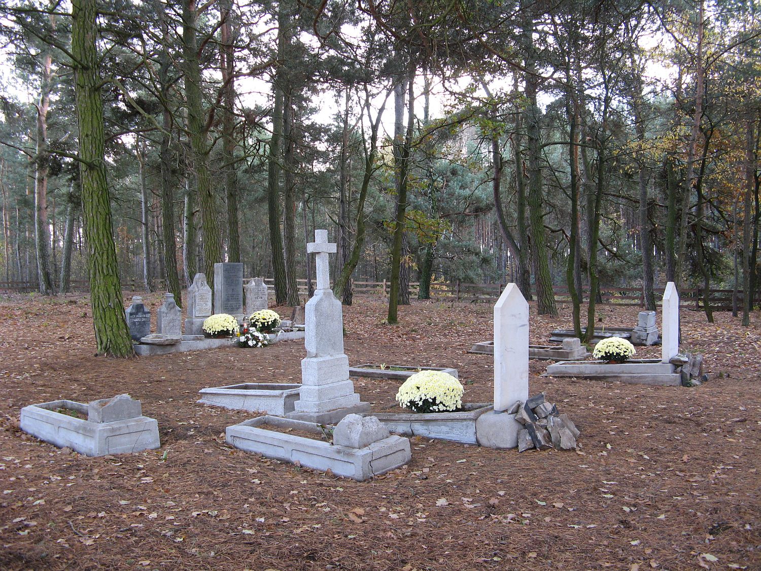 Efekt pracy szeregu wolontariuszy na cmentarzu w Biaasach, 3.11.2012 r.