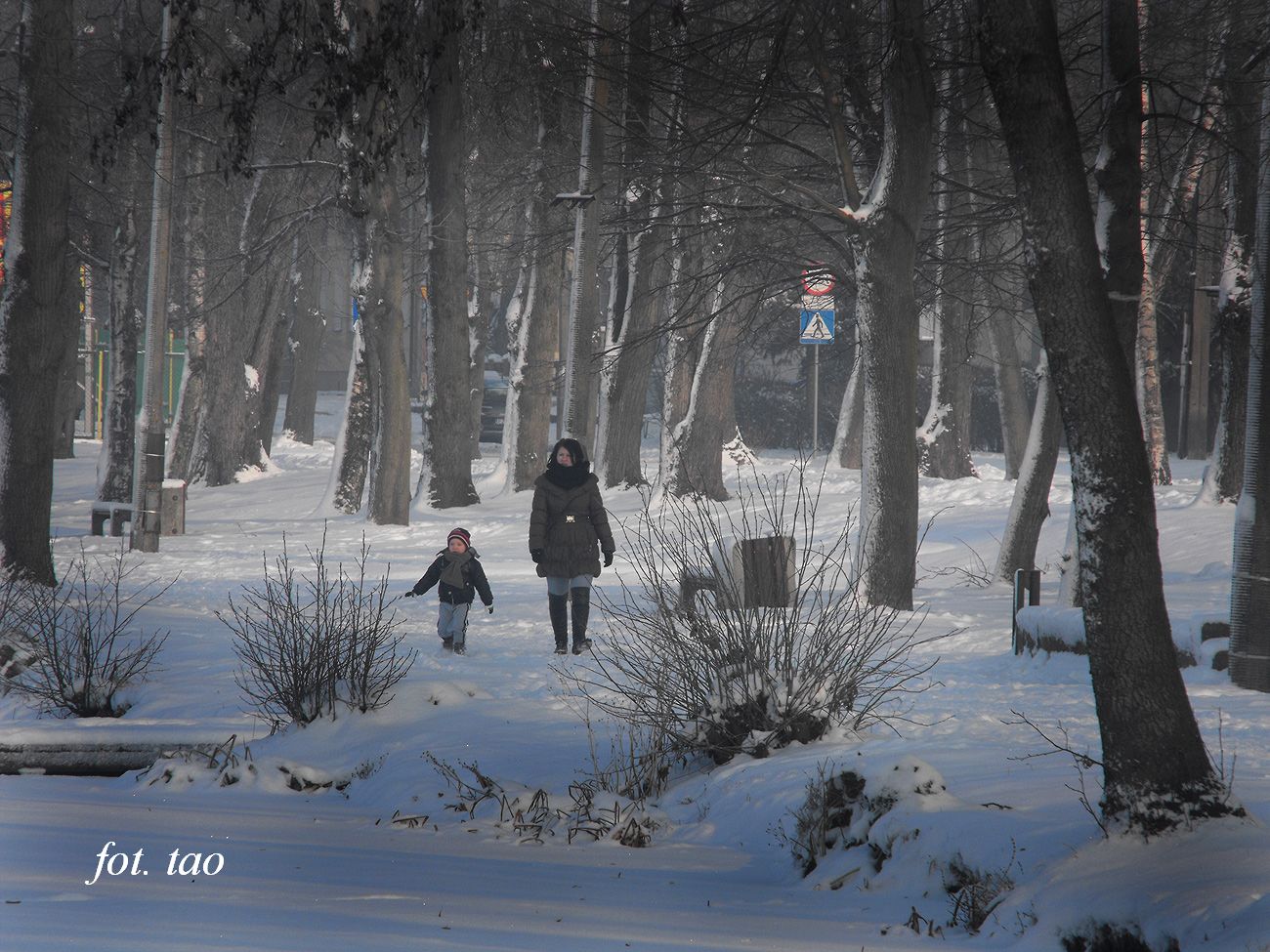 Zimowy spacer w mrony poranek, Jezirka 13.01.2013 r.