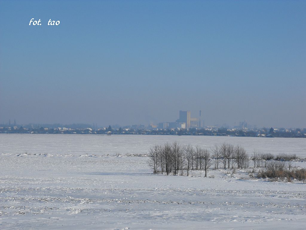 Sierpc zim. Widok z Miobdzyna w mrone przedpoudnie, 24.01.2010 r.