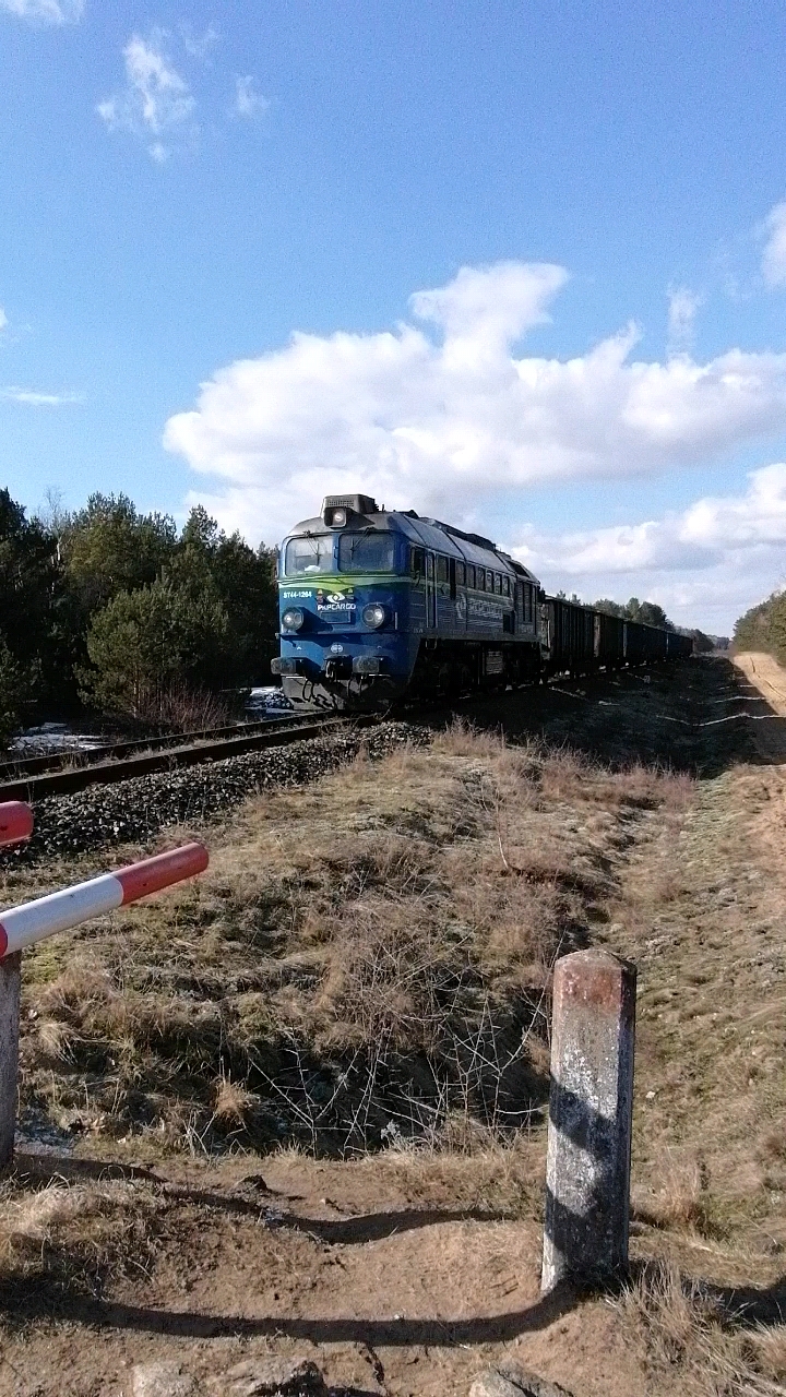 Skad towarowy z wglarkami oraz lokomotyw St-44 na czele, jadcy do Sierpca na linii 33 odcinku Szczutowo-Sie­rpc.  Zdjcie wykonane na zamknitym na stae przejedzie kolejowym w lesie okolice Rydzewa, 6.03.2021 r.